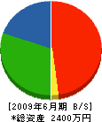 渡辺建設 貸借対照表 2009年6月期