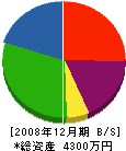 住研岩成 貸借対照表 2008年12月期
