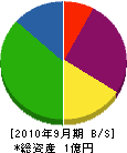 長谷川管工社 貸借対照表 2010年9月期