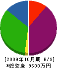 松葉建設 貸借対照表 2009年10月期