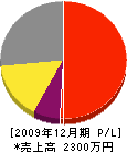 栄光工業 損益計算書 2009年12月期