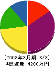 鈴木電気商会 貸借対照表 2008年3月期
