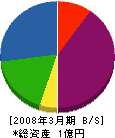 松田建築店 貸借対照表 2008年3月期