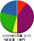 竜栄組 貸借対照表 2009年5月期