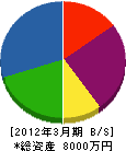 大坂屋電気 貸借対照表 2012年3月期