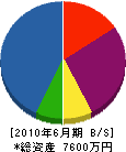 松本組 貸借対照表 2010年6月期