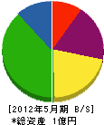 石塚 貸借対照表 2012年5月期