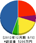 玉田工業 貸借対照表 2012年12月期