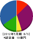 奥井電機 貸借対照表 2012年5月期
