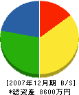 千葉産業ガス住設部 貸借対照表 2007年12月期