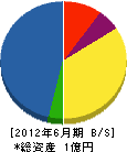 大阪安全工業 貸借対照表 2012年6月期
