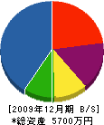 眞生設備工業 貸借対照表 2009年12月期 眞生設備工業 貸借対照表 2009年12月期