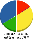 菅野工業所 貸借対照表 2008年10月期