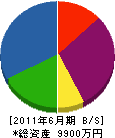 中川機工 貸借対照表 2011年6月期
