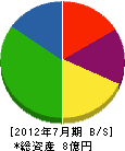 マルヰガス東京 貸借対照表 2012年7月期