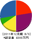 野村電業社 貸借対照表 2011年12月期