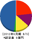 前田商会 貸借対照表 2012年6月期