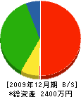 渡辺工務店 貸借対照表 2009年12月期