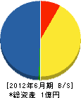 長倉工易 貸借対照表 2012年6月期