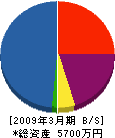 桜工業 貸借対照表 2009年3月期