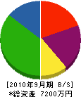 谷井組 貸借対照表 2010年9月期