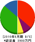 勝田設備 貸借対照表 2010年6月期