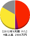 藤田電機工業所 損益計算書 2012年9月期