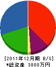 渡邉塗装店 貸借対照表 2011年12月期