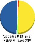 宮沢エンジニアリング 貸借対照表 2008年9月期
