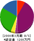 新井組 貸借対照表 2008年3月期