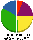 ハイテック渡辺電工 貸借対照表 2009年9月期