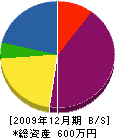 伸栄住設 貸借対照表 2009年12月期
