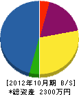 坂本工務店 貸借対照表 2012年10月期