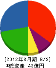 エヌイーシーパーソナルシステム南九州 貸借対照表 2012年3月期