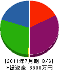 佐野建材 貸借対照表 2011年7月期