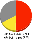 昭電産業 損益計算書 2011年9月期