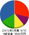 西日本開発 貸借対照表 2012年3月期