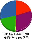 岩﨑電機 貸借対照表 2011年9月期