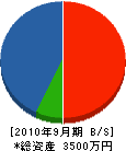 田中電機商会 貸借対照表 2010年9月期