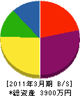 中沢建材 貸借対照表 2011年3月期