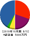 ヤナセ建設 貸借対照表 2010年10月期