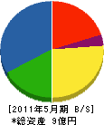 藤田建設 貸借対照表 2011年5月期