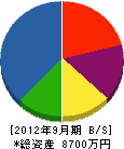 田中住設 貸借対照表 2012年9月期
