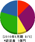 西京産業 貸借対照表 2010年6月期