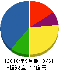 山田建設 貸借対照表 2010年9月期