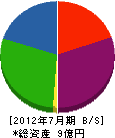 新虎興産 貸借対照表 2012年7月期