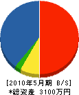 大阪レジン建工 貸借対照表 2010年5月期