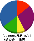 大渕商事 貸借対照表 2010年6月期