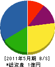 斐川水道 貸借対照表 2011年5月期