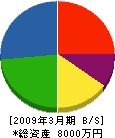 道亜工業 貸借対照表 2009年3月期